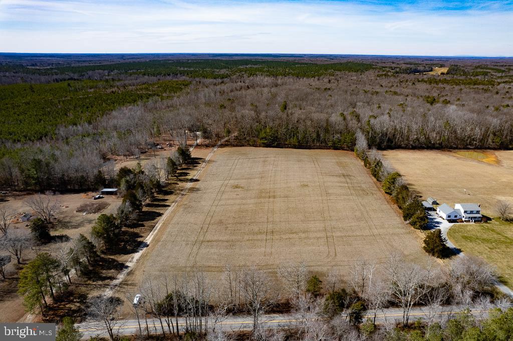 49.26 ACRES JERICHO RD, RUTHER GLEN, Virginia 22546, ,Land,For Sale,49.26 ACRES JERICHO RD,VACV2009540 MLS # VACV2009540