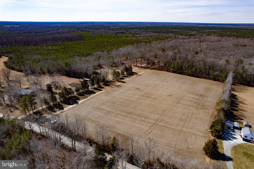 49.26 ACRES JERICHO RD, RUTHER GLEN, Virginia 22546, ,Land,For Sale,49.26 ACRES JERICHO RD,VACV2009540 MLS # VACV2009540