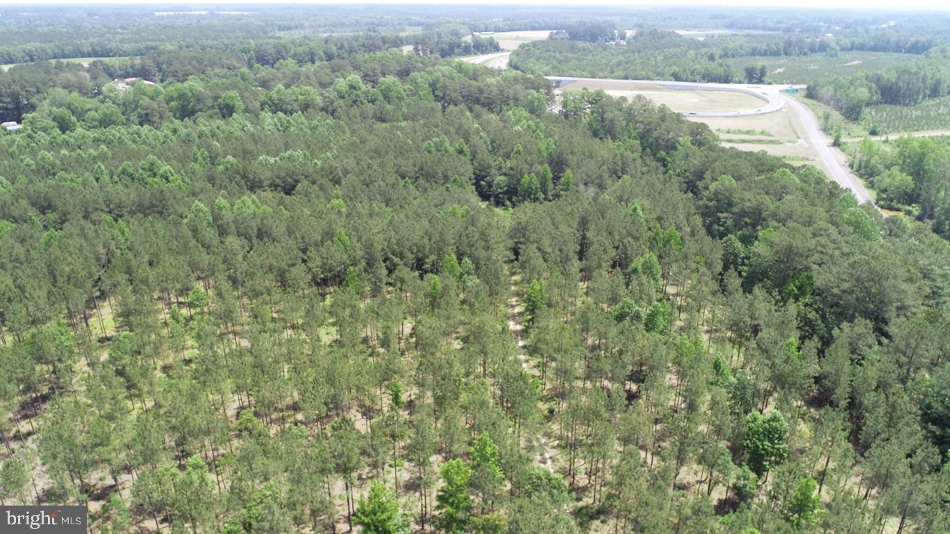 OLD BRIDGE ROAD (RT. 742) (TRACT: BLOCK 16 NORTH), COURTLAND, Virginia 23837, ,Farm,For Sale,OLD BRIDGE ROAD (RT. 742) (TRACT: BLOCK 16 NORTH),VASU2000016 MLS # VASU2000016