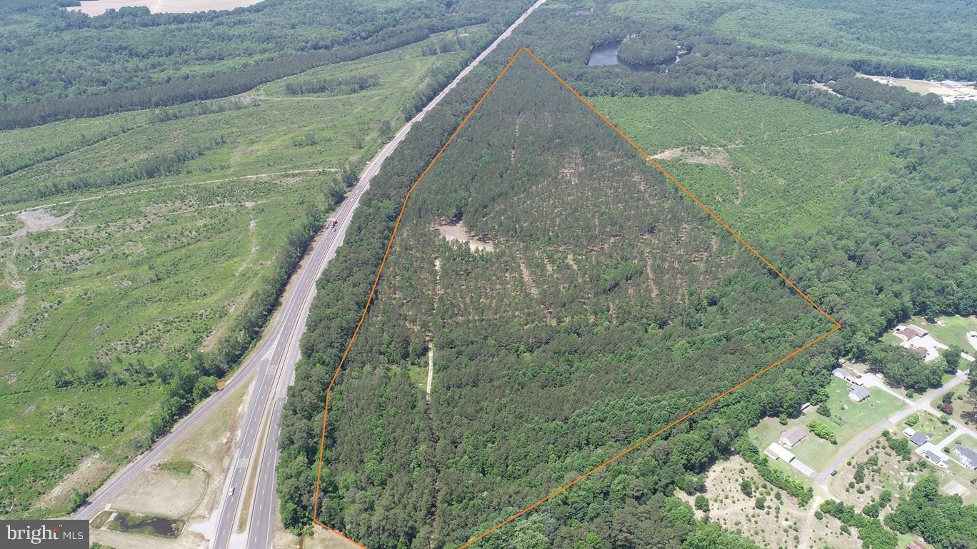 OLD BRIDGE ROAD (RT. 742) (TRACT: BLOCK 16 NORTH), COURTLAND, Virginia 23837, ,Farm,For Sale,OLD BRIDGE ROAD (RT. 742) (TRACT: BLOCK 16 NORTH),VASU2000016 MLS # VASU2000016