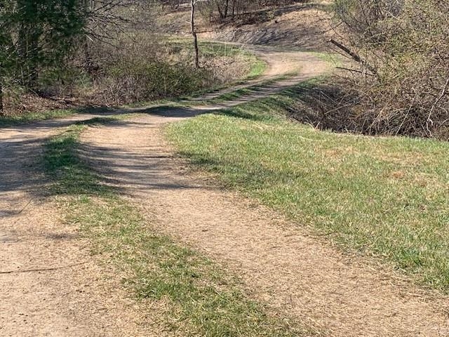 12002 JACKSON RIVER RD, MONTEREY, Virginia 24465, 3 Bedrooms Bedrooms, ,2 BathroomsBathrooms,Residential,14,12002 JACKSON RIVER RD,673790 MLS # 673790 12002 JACKSON RIVER RD, MONTEREY, Virginia 24465, 3 Bedrooms Bedrooms, ,2 BathroomsBathrooms,Residential,14,12002 JACKSON RIVER RD,673790 MLS # 673790