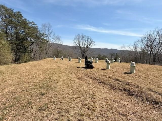 12002 JACKSON RIVER RD, MONTEREY, Virginia 24465, 3 Bedrooms Bedrooms, ,2 BathroomsBathrooms,Residential,14,12002 JACKSON RIVER RD,673790 MLS # 673790
