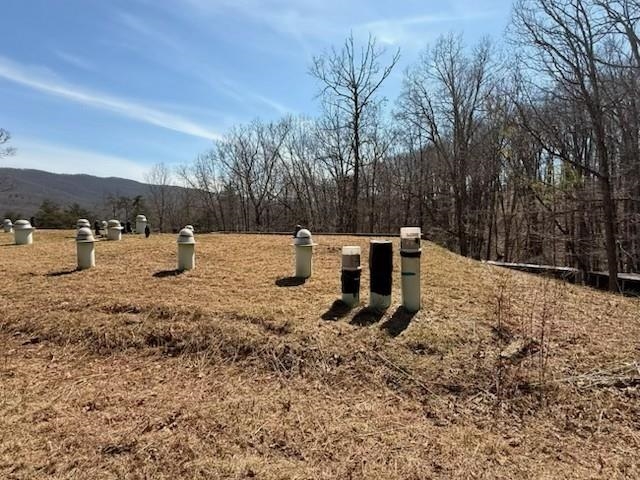 12002 JACKSON RIVER RD, MONTEREY, Virginia 24465, 3 Bedrooms Bedrooms, ,2 BathroomsBathrooms,Residential,14,12002 JACKSON RIVER RD,673790 MLS # 673790