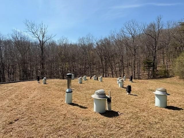 12002 JACKSON RIVER RD, MONTEREY, Virginia 24465, 3 Bedrooms Bedrooms, ,2 BathroomsBathrooms,Residential,14,12002 JACKSON RIVER RD,673790 MLS # 673790