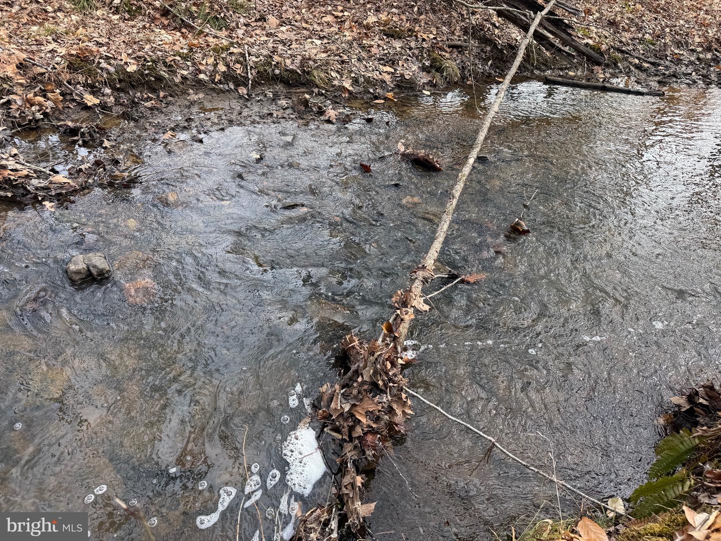 1 COMMUNITY HOUSE RD, KENTS STORE, Virginia 23084, ,Land,For Sale,1 COMMUNITY HOUSE RD,VAFN2000626 MLS # VAFN2000626