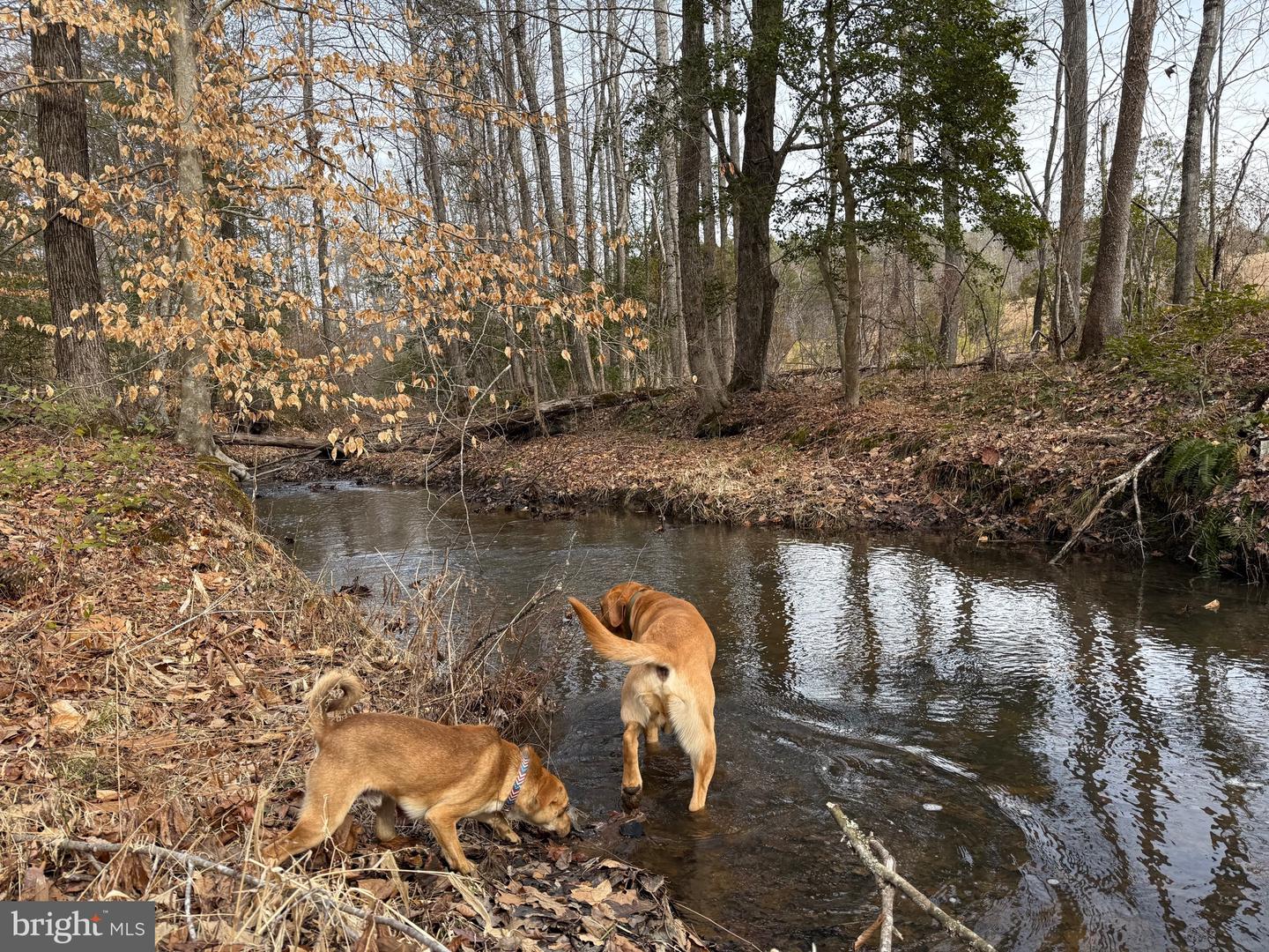 1 COMMUNITY HOUSE RD, KENTS STORE, Virginia 23084, ,Land,For Sale,1 COMMUNITY HOUSE RD,VAFN2000626 MLS # VAFN2000626