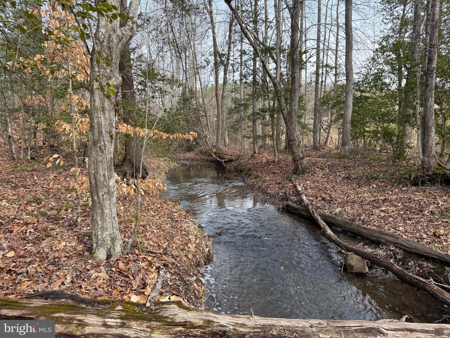 1 COMMUNITY HOUSE RD, KENTS STORE, Virginia 23084, ,Land,For Sale,1 COMMUNITY HOUSE RD,VAFN2000626 MLS # VAFN2000626