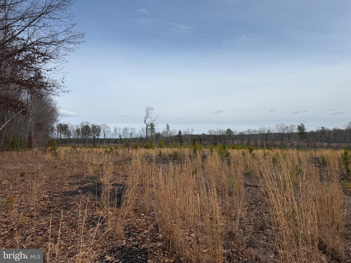 1 COMMUNITY HOUSE RD, KENTS STORE, Virginia 23084, ,Land,For Sale,1 COMMUNITY HOUSE RD,VAFN2000626 MLS # VAFN2000626