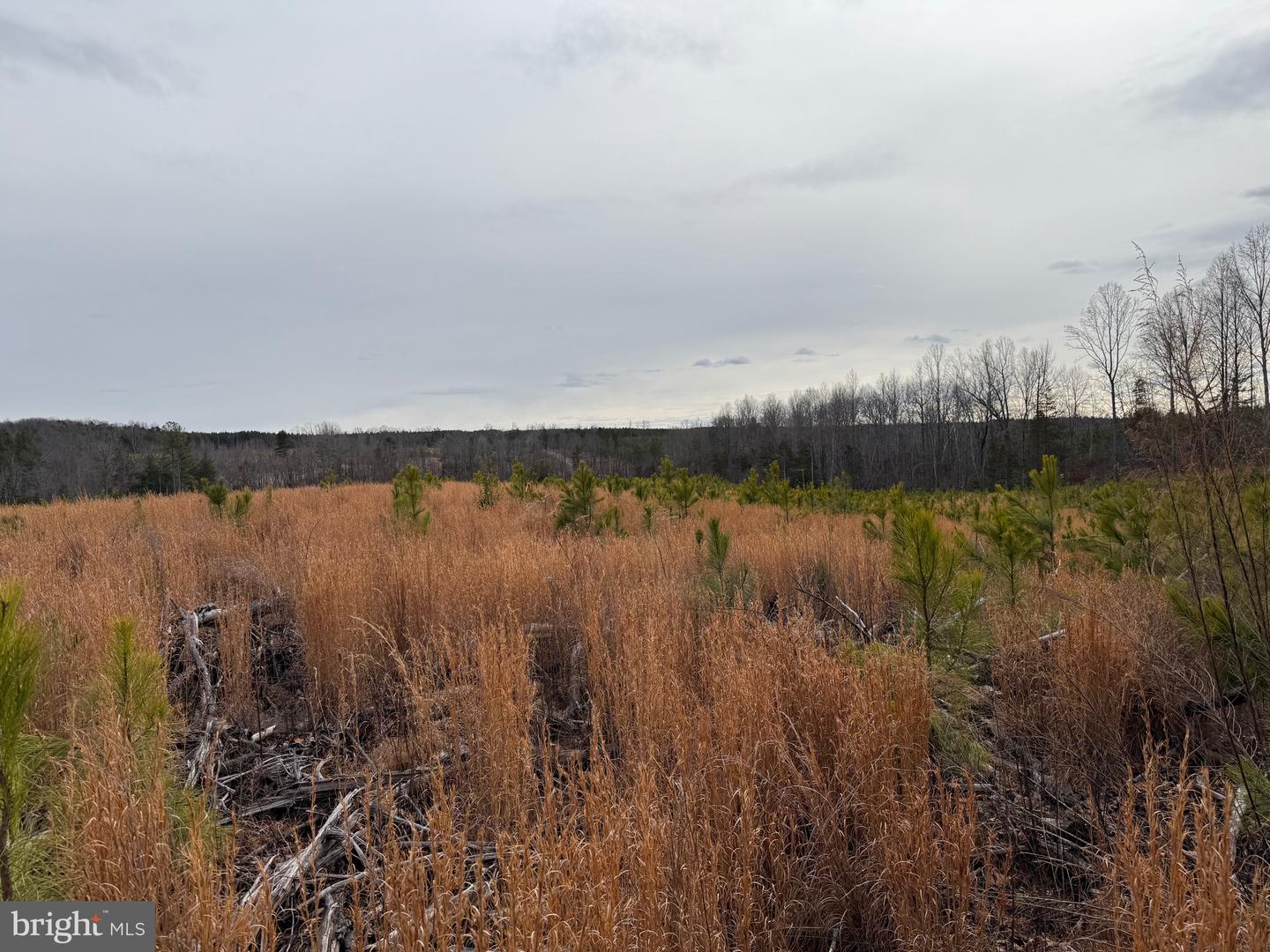 1 COMMUNITY HOUSE RD, KENTS STORE, Virginia 23084, ,Land,For Sale,1 COMMUNITY HOUSE RD,VAFN2000626 MLS # VAFN2000626