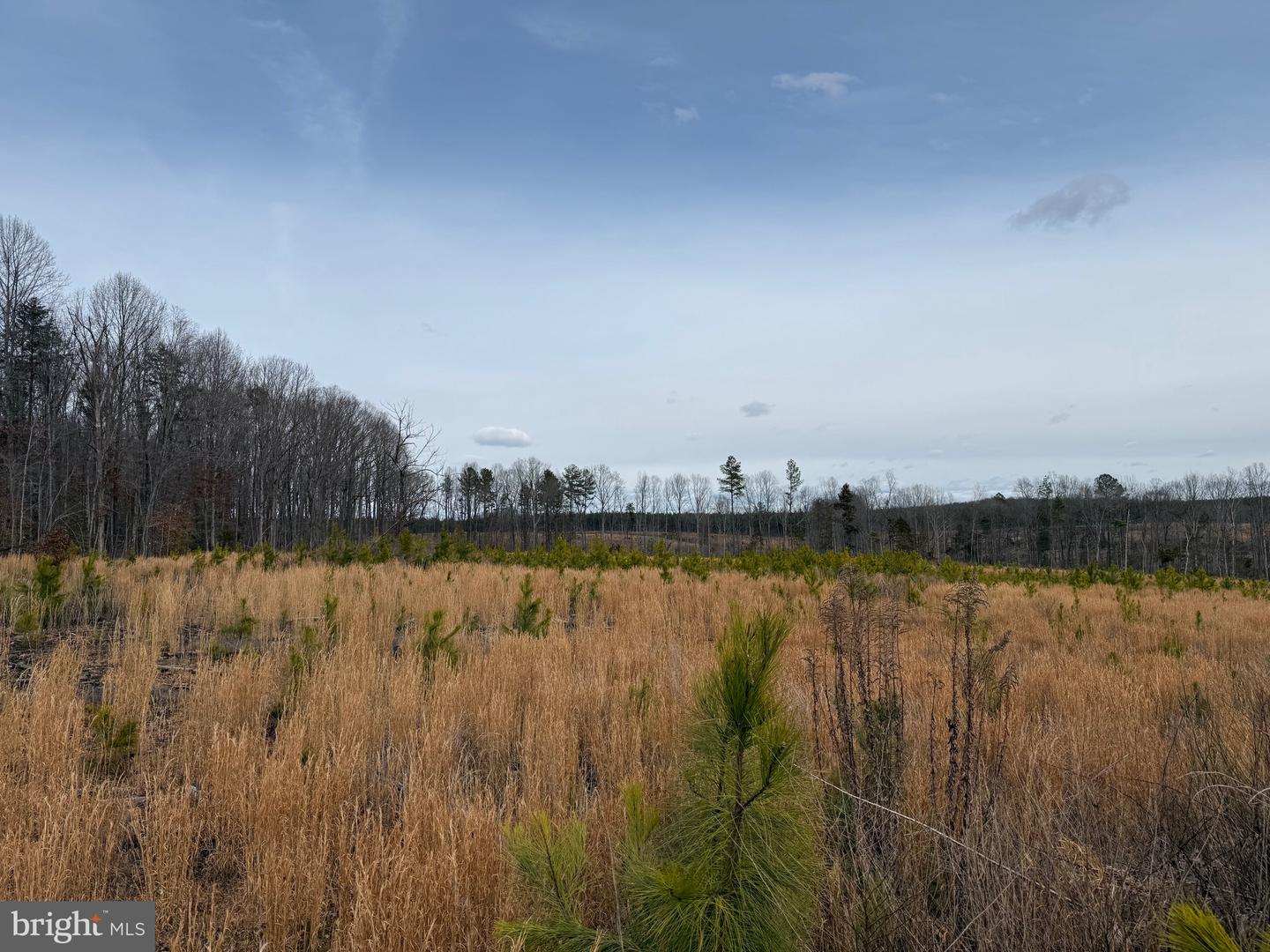 1 COMMUNITY HOUSE RD, KENTS STORE, Virginia 23084, ,Land,For Sale,1 COMMUNITY HOUSE RD,VAFN2000626 MLS # VAFN2000626