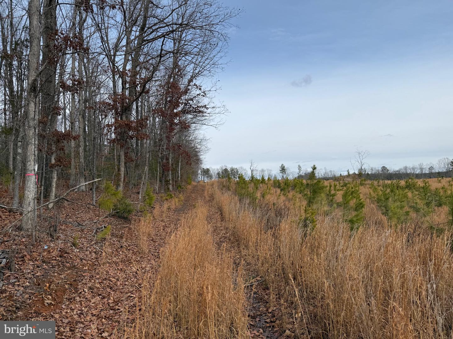 1 COMMUNITY HOUSE RD, KENTS STORE, Virginia 23084, ,Land,For Sale,1 COMMUNITY HOUSE RD,VAFN2000626 MLS # VAFN2000626