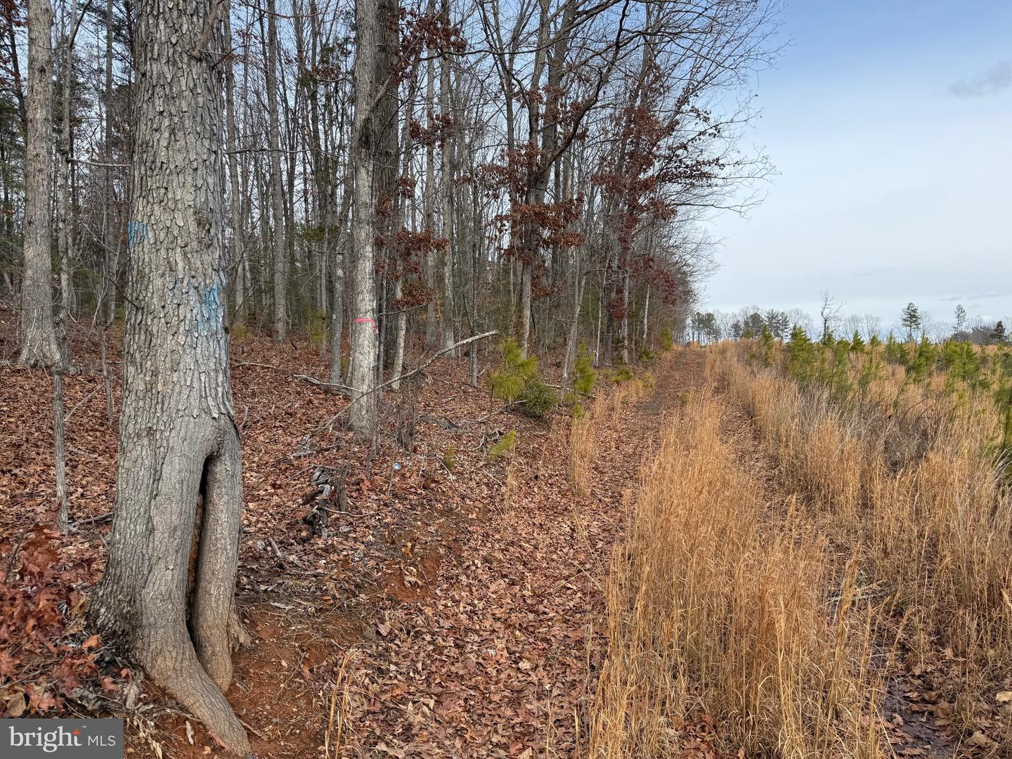 1 COMMUNITY HOUSE RD, KENTS STORE, Virginia 23084, ,Land,For Sale,1 COMMUNITY HOUSE RD,VAFN2000626 MLS # VAFN2000626