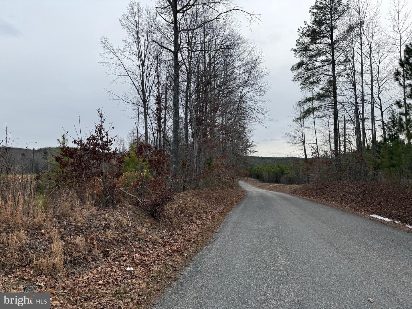 1 COMMUNITY HOUSE RD, KENTS STORE, Virginia 23084, ,Land,For Sale,1 COMMUNITY HOUSE RD,VAFN2000626 MLS # VAFN2000626