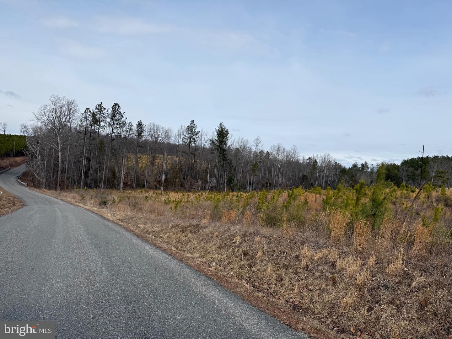 1 COMMUNITY HOUSE RD, KENTS STORE, Virginia 23084, ,Land,For Sale,1 COMMUNITY HOUSE RD,VAFN2000626 MLS # VAFN2000626