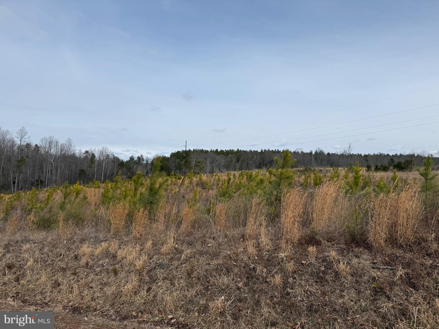 1 COMMUNITY HOUSE RD, KENTS STORE, Virginia 23084, ,Land,For Sale,1 COMMUNITY HOUSE RD,VAFN2000626 MLS # VAFN2000626