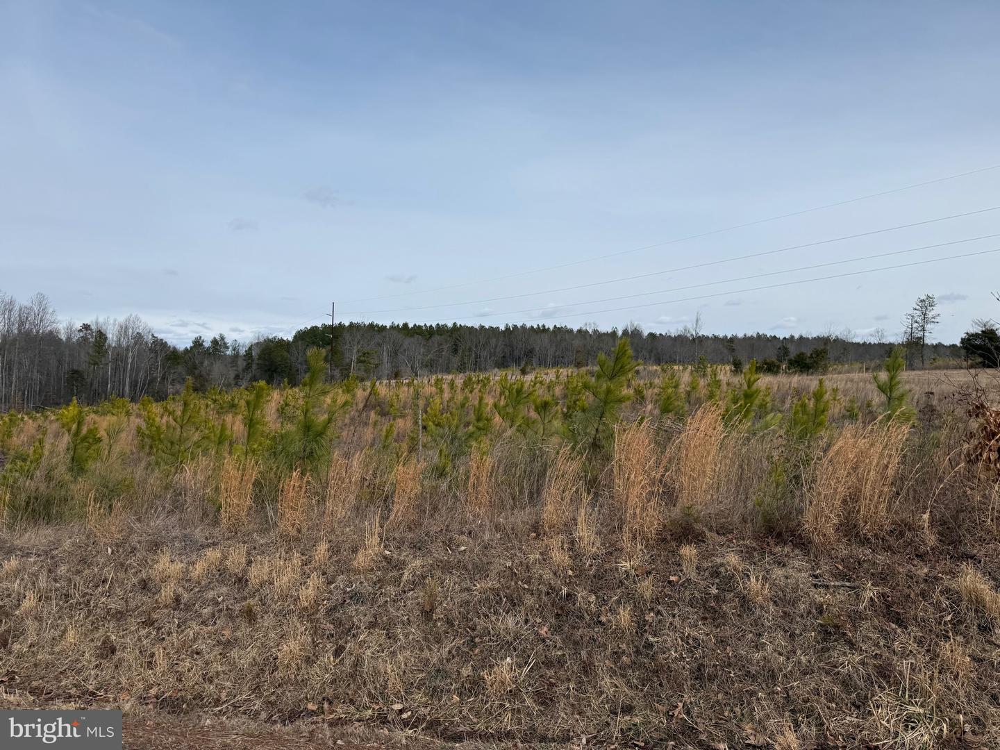 1 COMMUNITY HOUSE RD, KENTS STORE, Virginia 23084, ,Land,For Sale,1 COMMUNITY HOUSE RD,VAFN2000626 MLS # VAFN2000626