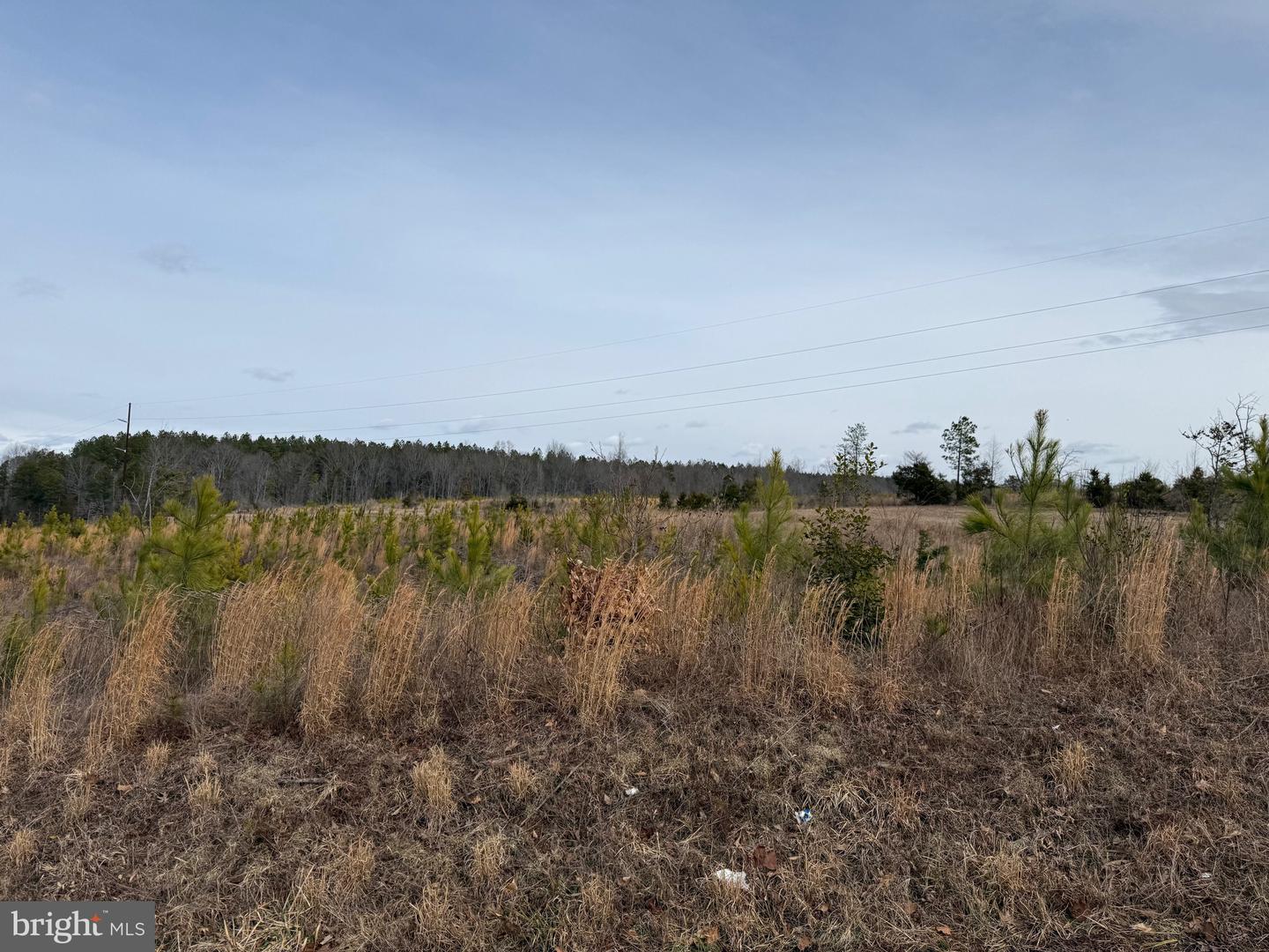 1 COMMUNITY HOUSE RD, KENTS STORE, Virginia 23084, ,Land,For Sale,1 COMMUNITY HOUSE RD,VAFN2000626 MLS # VAFN2000626