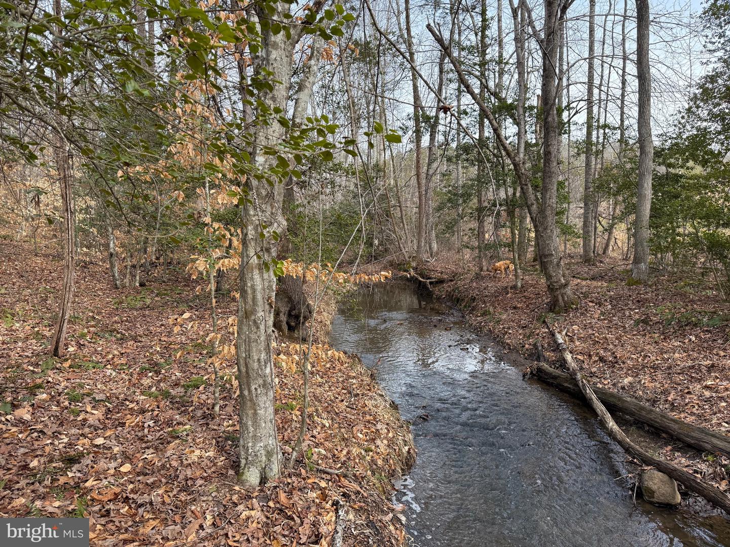 1 COMMUNITY HOUSE RD, KENTS STORE, Virginia 23084, ,Land,For Sale,1 COMMUNITY HOUSE RD,VAFN2000626 MLS # VAFN2000626