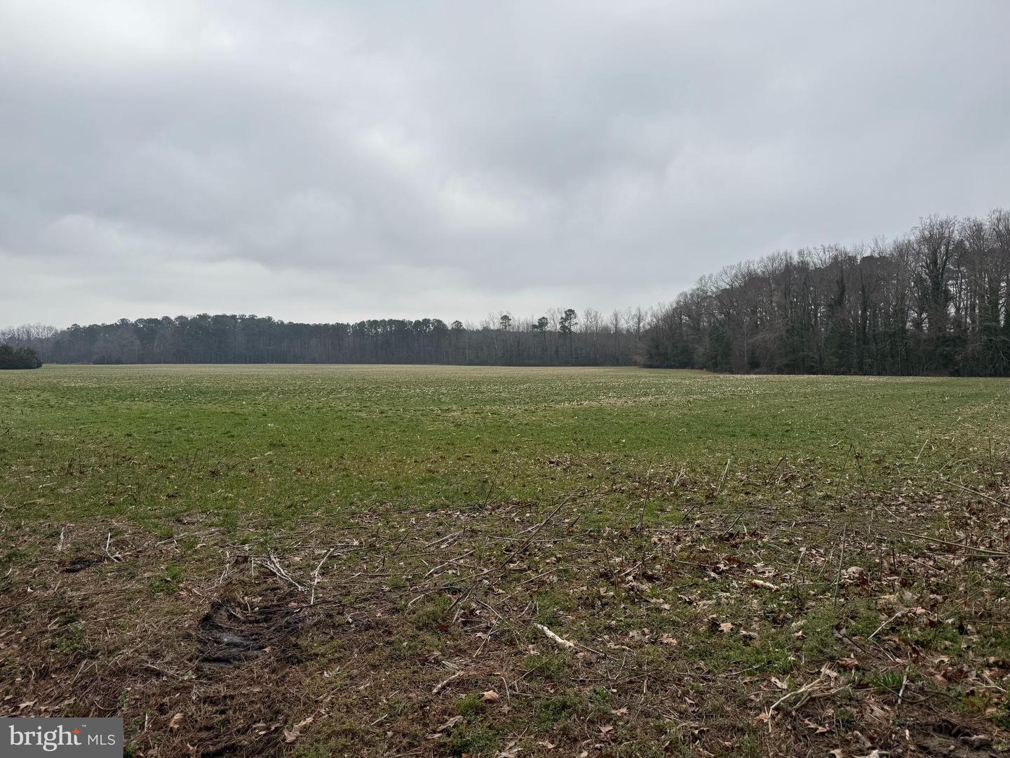 00 EBENEZER CHURCH RD, COBBS CREEK, Virginia 23035, ,Land,For Sale,-00 EBENEZER CHURCH RD,VAMH2000114 MLS # VAMH2000114