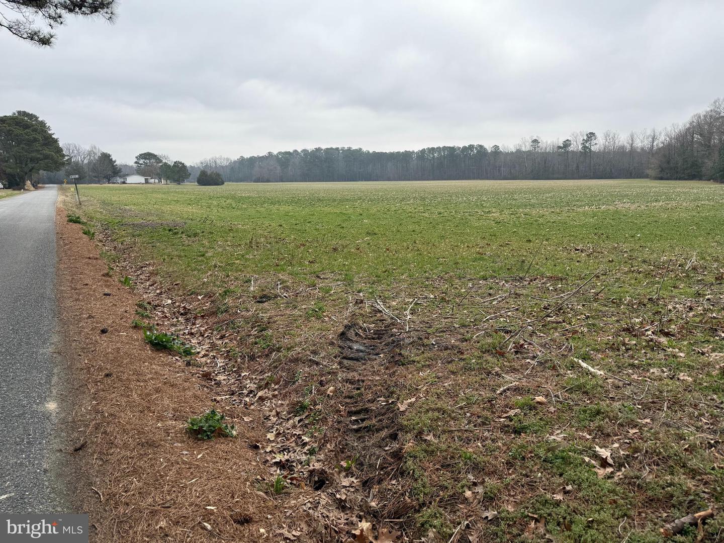 00 EBENEZER CHURCH RD, COBBS CREEK, Virginia 23035, ,Land,For Sale,-00 EBENEZER CHURCH RD,VAMH2000114 MLS # VAMH2000114