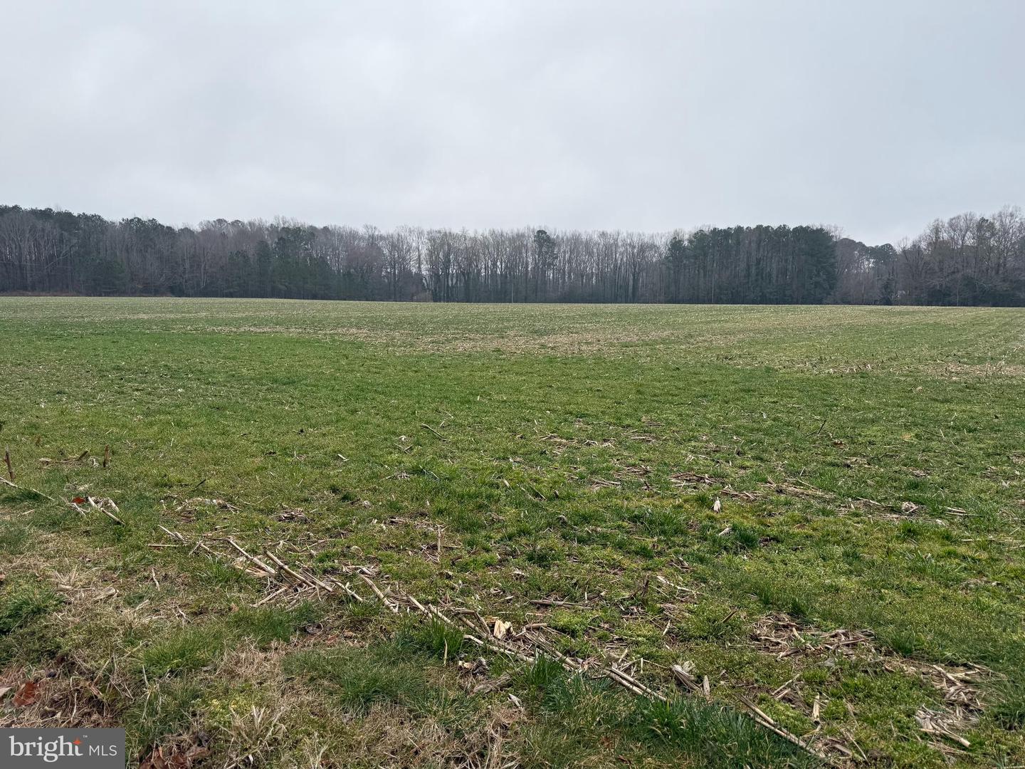 00 EBENEZER CHURCH RD, COBBS CREEK, Virginia 23035, ,Land,For Sale,-00 EBENEZER CHURCH RD,VAMH2000114 MLS # VAMH2000114