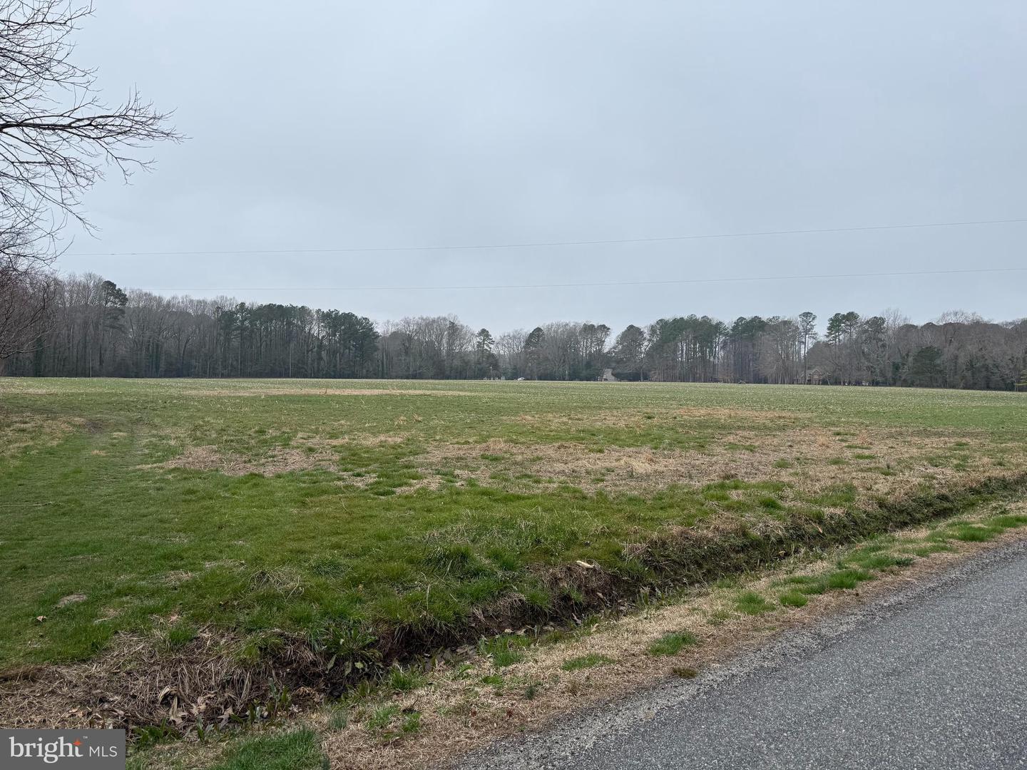 00 EBENEZER CHURCH RD, COBBS CREEK, Virginia 23035, ,Land,For Sale,-00 EBENEZER CHURCH RD,VAMH2000114 MLS # VAMH2000114