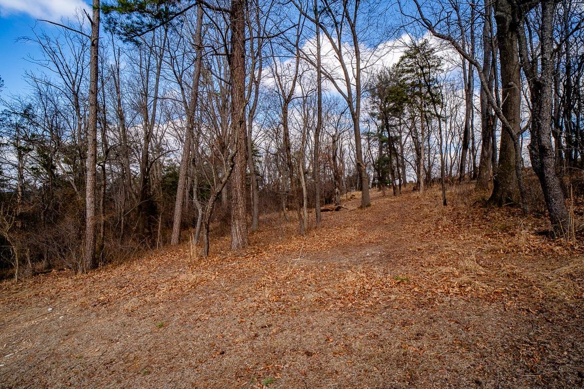 TBD KISER RD, MOUNT CRAWFORD, Virginia 22841, ,Land,14,TBD KISER RD,673862 MLS # 673862