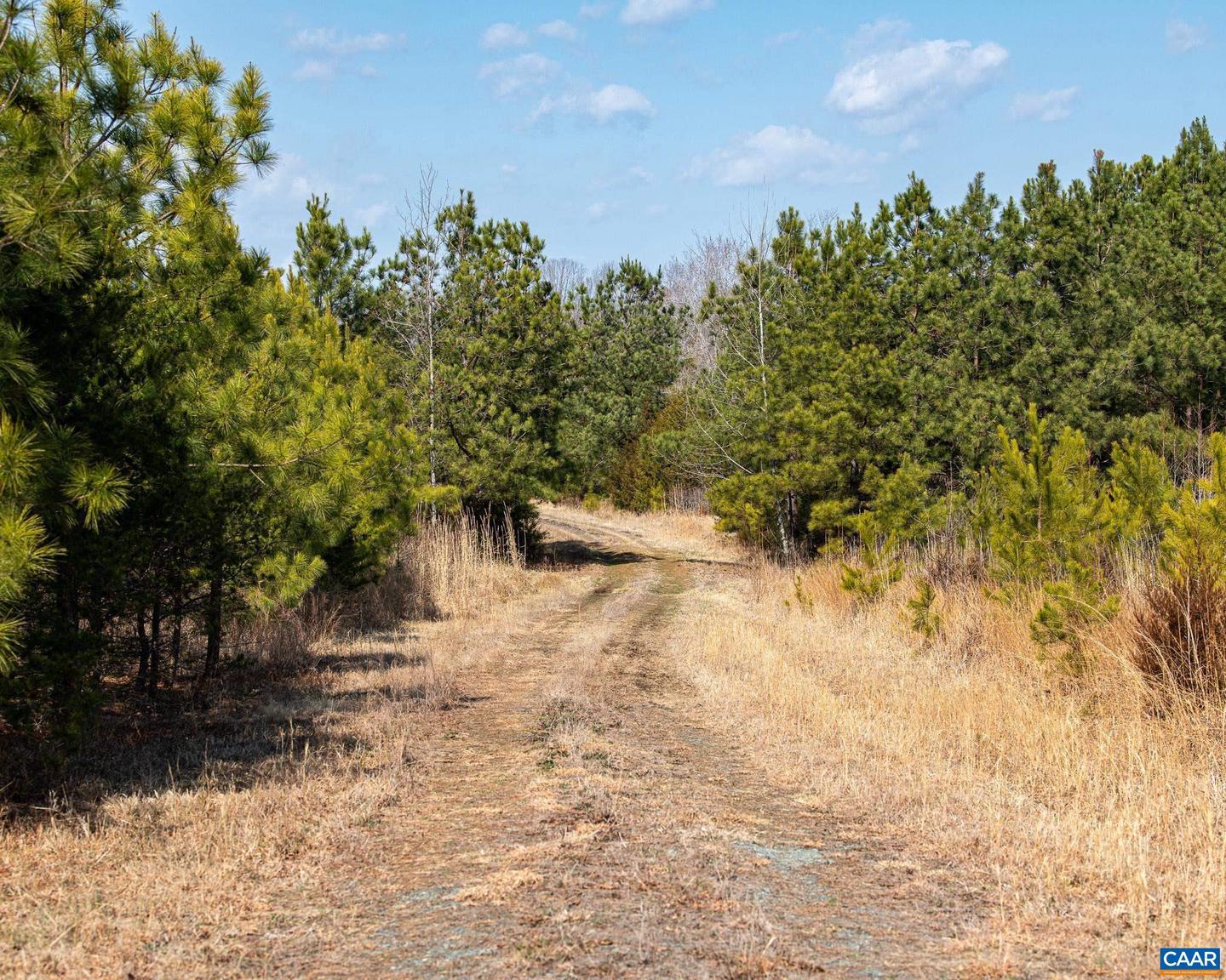 0 CENTRAL PLAINS RD, PALMYRA, Virginia 22963, ,Land,For Sale,0 CENTRAL PLAINS RD,673851 MLS # 673851