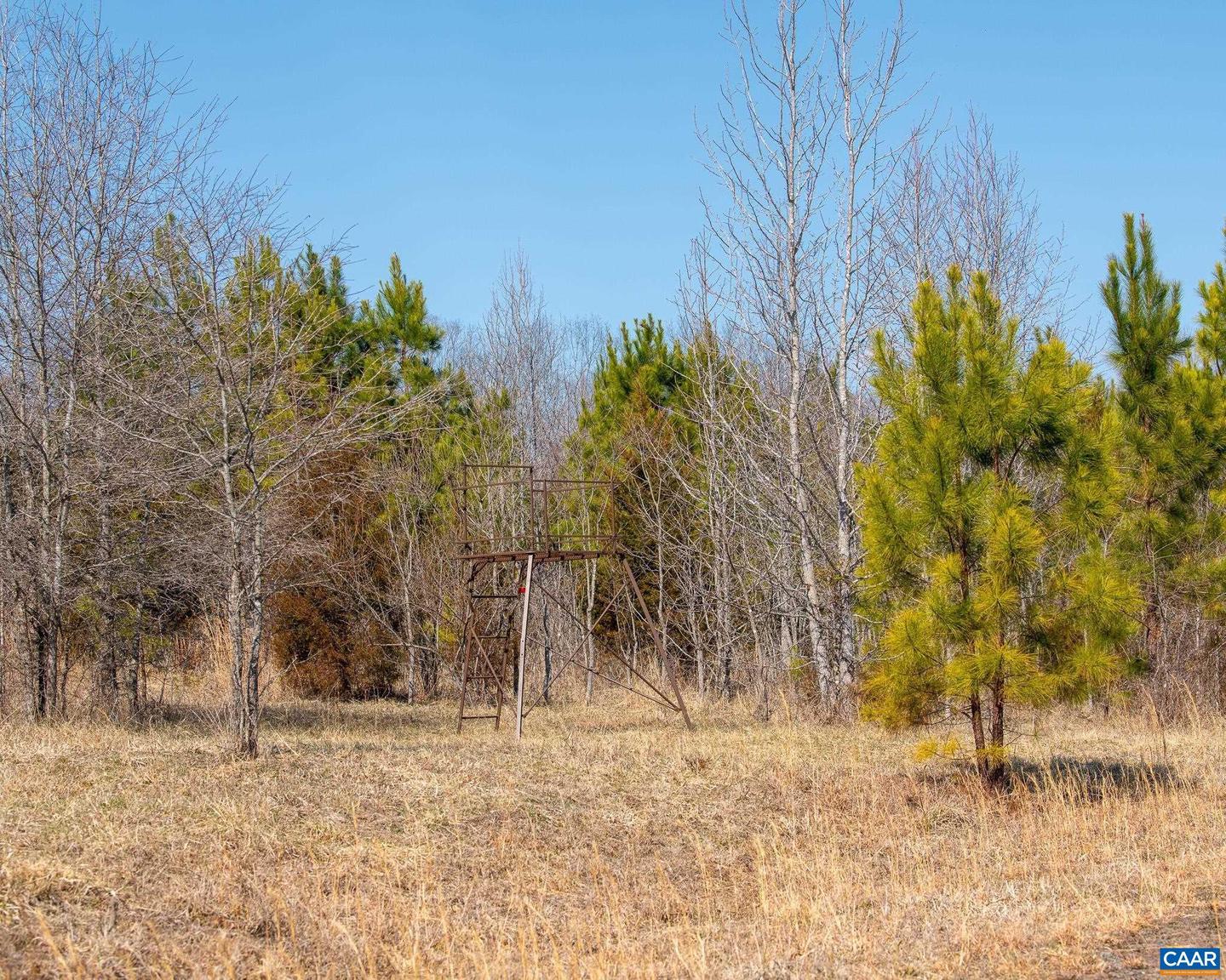 0 CENTRAL PLAINS RD, PALMYRA, Virginia 22963, ,Land,For Sale,0 CENTRAL PLAINS RD,673851 MLS # 673851