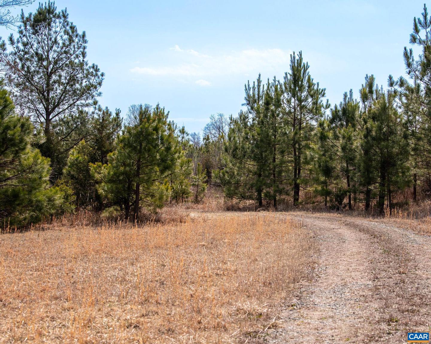 0 CENTRAL PLAINS RD, PALMYRA, Virginia 22963, ,Land,For Sale,0 CENTRAL PLAINS RD,673851 MLS # 673851