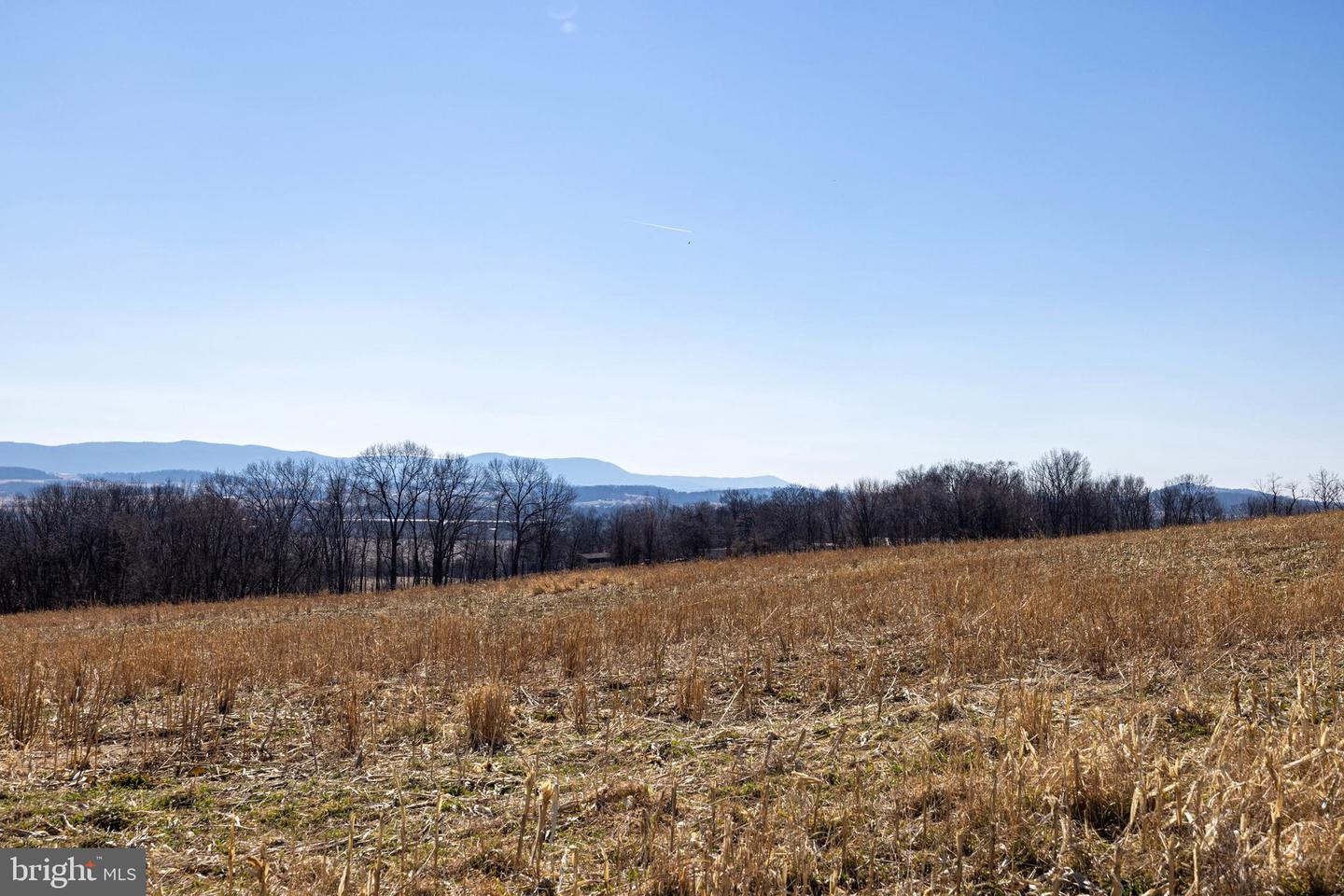 NEIGHBORS LANE, TIMBERVILLE, Virginia 22853, ,Land,For Sale,NEIGHBORS LANE,VARO2002872 MLS # VARO2002872