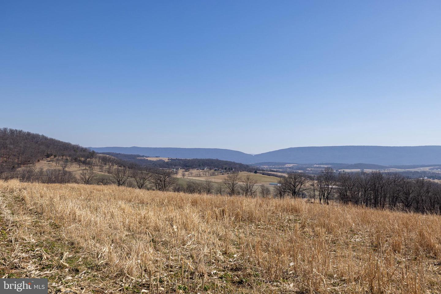 NEIGHBORS LANE, TIMBERVILLE, Virginia 22853, ,Land,For Sale,NEIGHBORS LANE,VARO2002872 MLS # VARO2002872