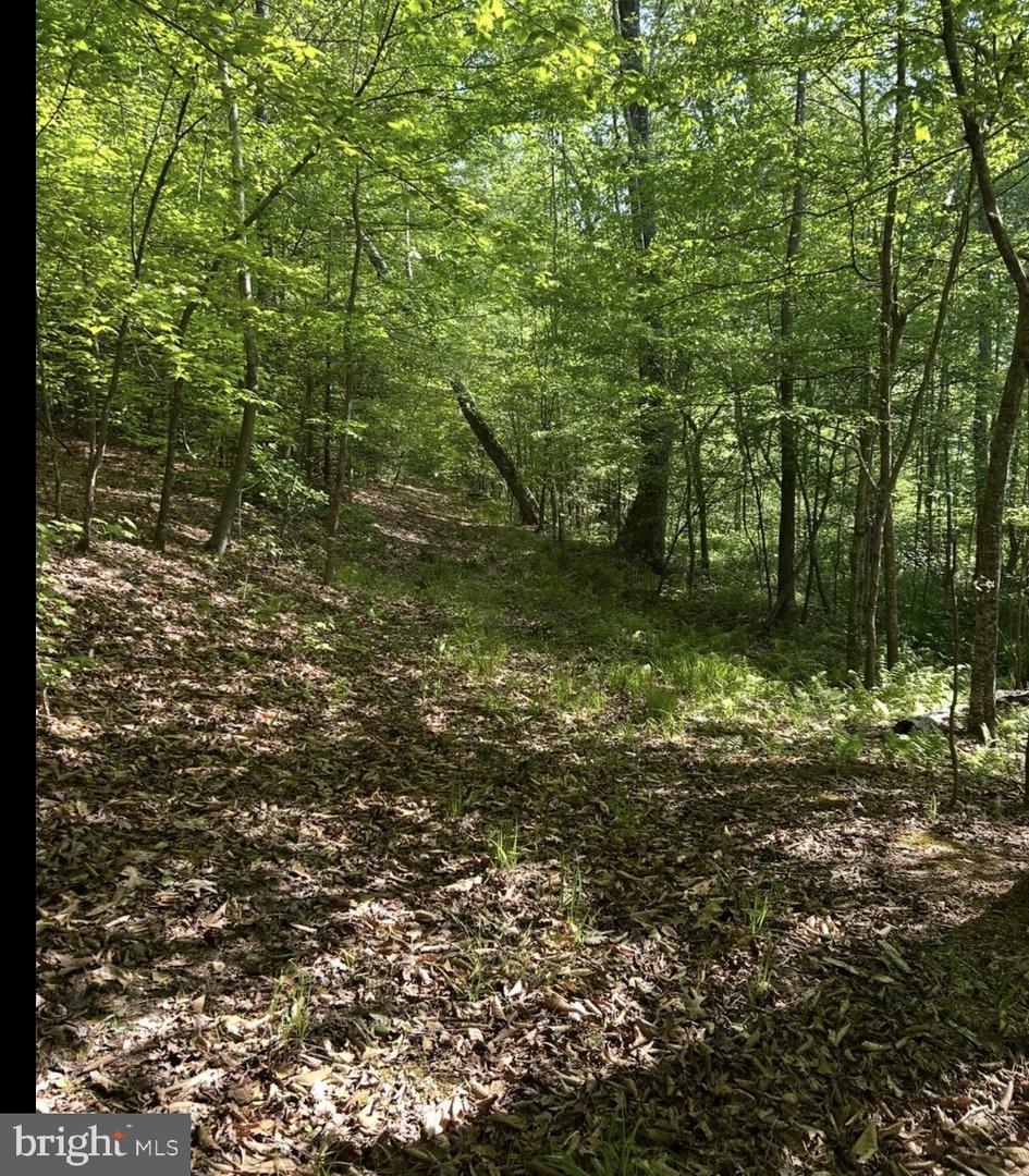 LOT 3 TM: 35-3-3 LONGFIELD RD., KING GEORGE, Virginia 22485, ,Land,For Sale,LOT 3 TM: 35-3-3 LONGFIELD RD.,VAKG2007696 MLS # VAKG2007696