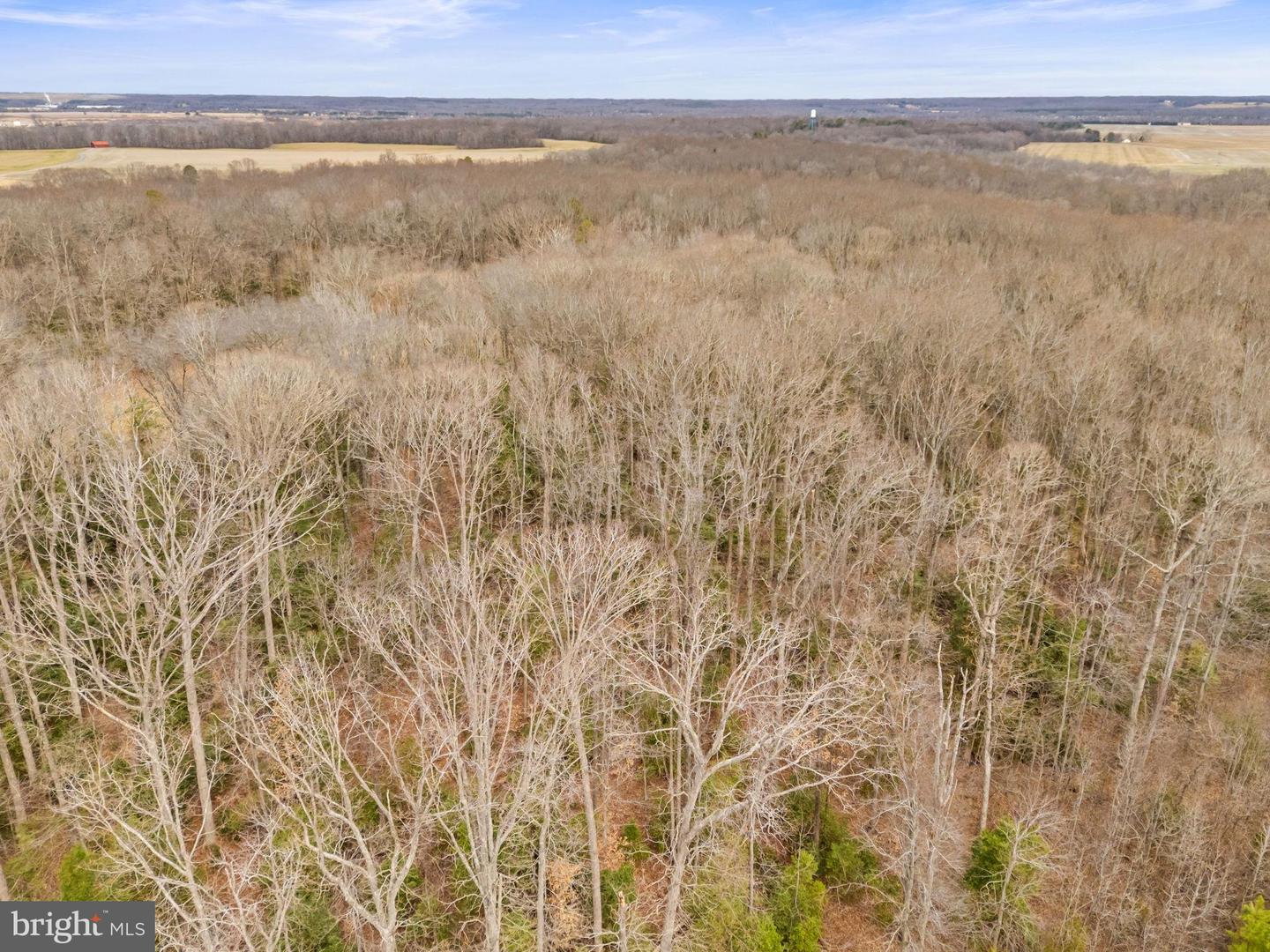 BUCKNER RD, RAPPAHANNOCK ACADEMY, Virginia 22538, ,Farm,For Sale,BUCKNER RD,VACV2009622 MLS # VACV2009622