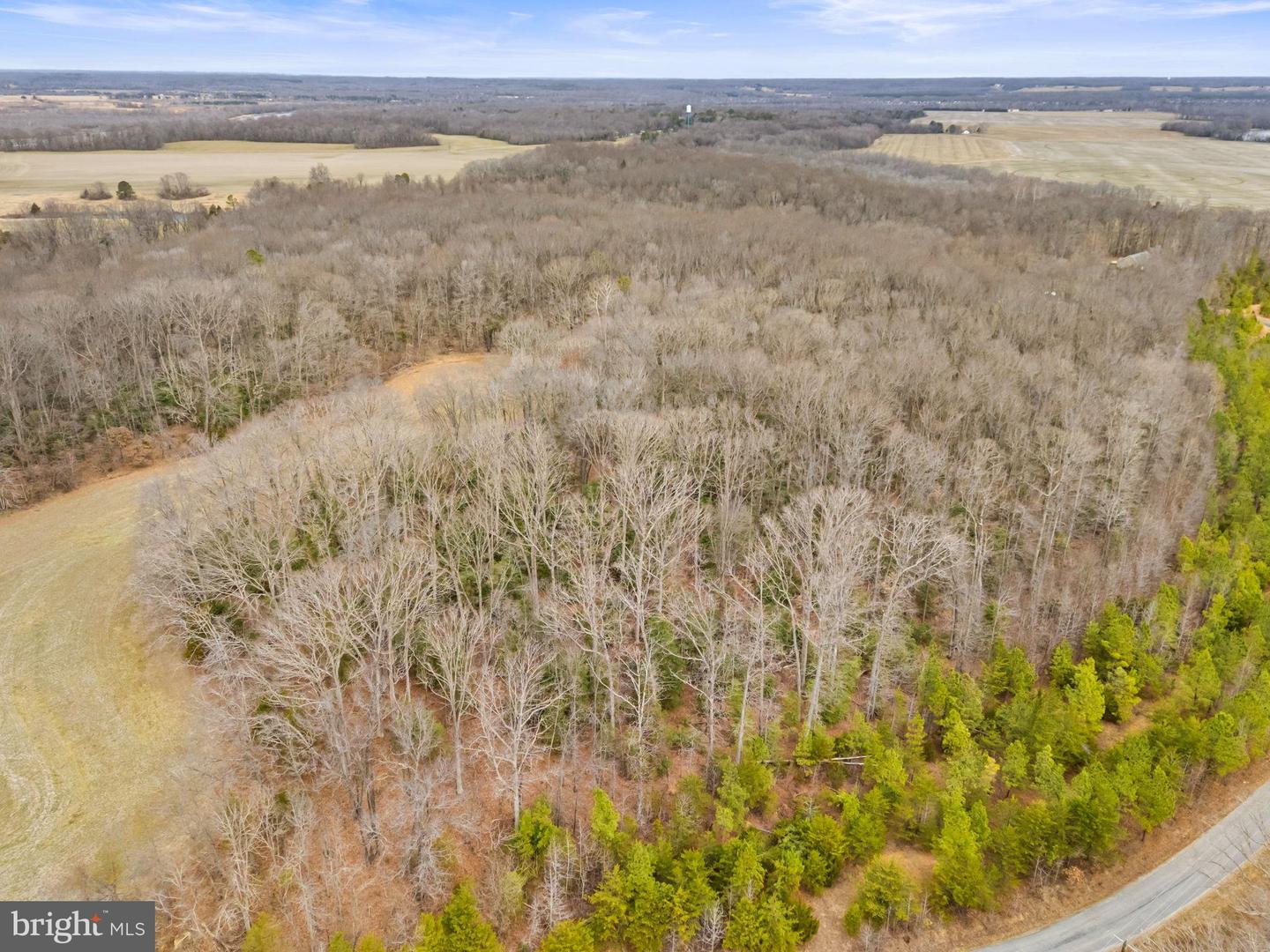 BUCKNER RD, RAPPAHANNOCK ACADEMY, Virginia 22538, ,Farm,For Sale,BUCKNER RD,VACV2009622 MLS # VACV2009622