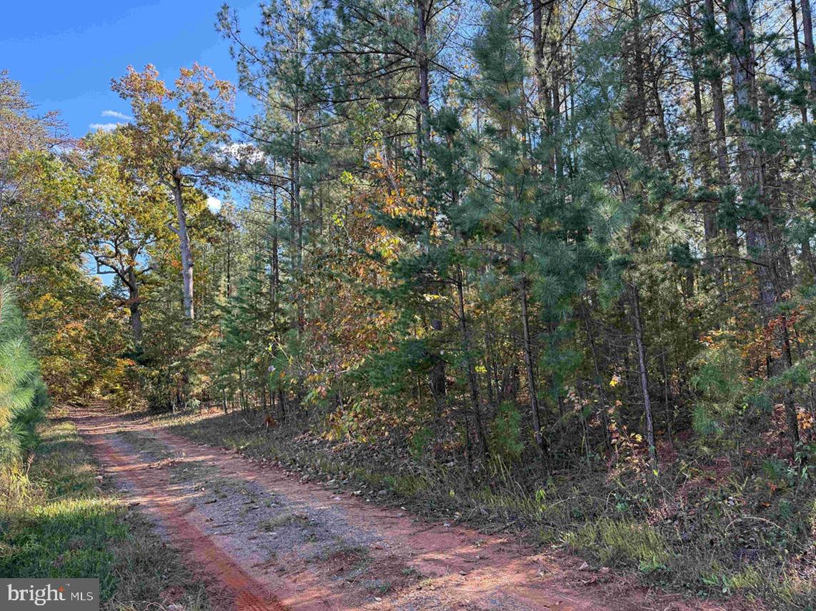OFF OF SHORES ROAD (TRACT: TANAGER ET2 2020), SCOTTSVILLE, Virginia 24590, ,Farm,For Sale,OFF OF SHORES ROAD (TRACT: TANAGER ET2 2020),VAFN2000630 MLS # VAFN2000630