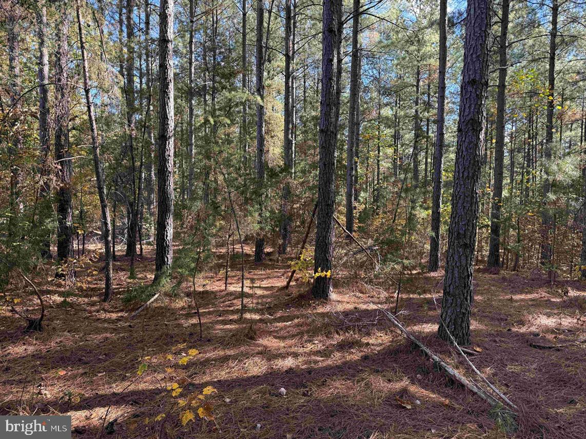 OFF OF SHORES ROAD (TRACT: TANAGER ET2 2020), SCOTTSVILLE, Virginia 24590, ,Farm,For Sale,OFF OF SHORES ROAD (TRACT: TANAGER ET2 2020),VAFN2000630 MLS # VAFN2000630