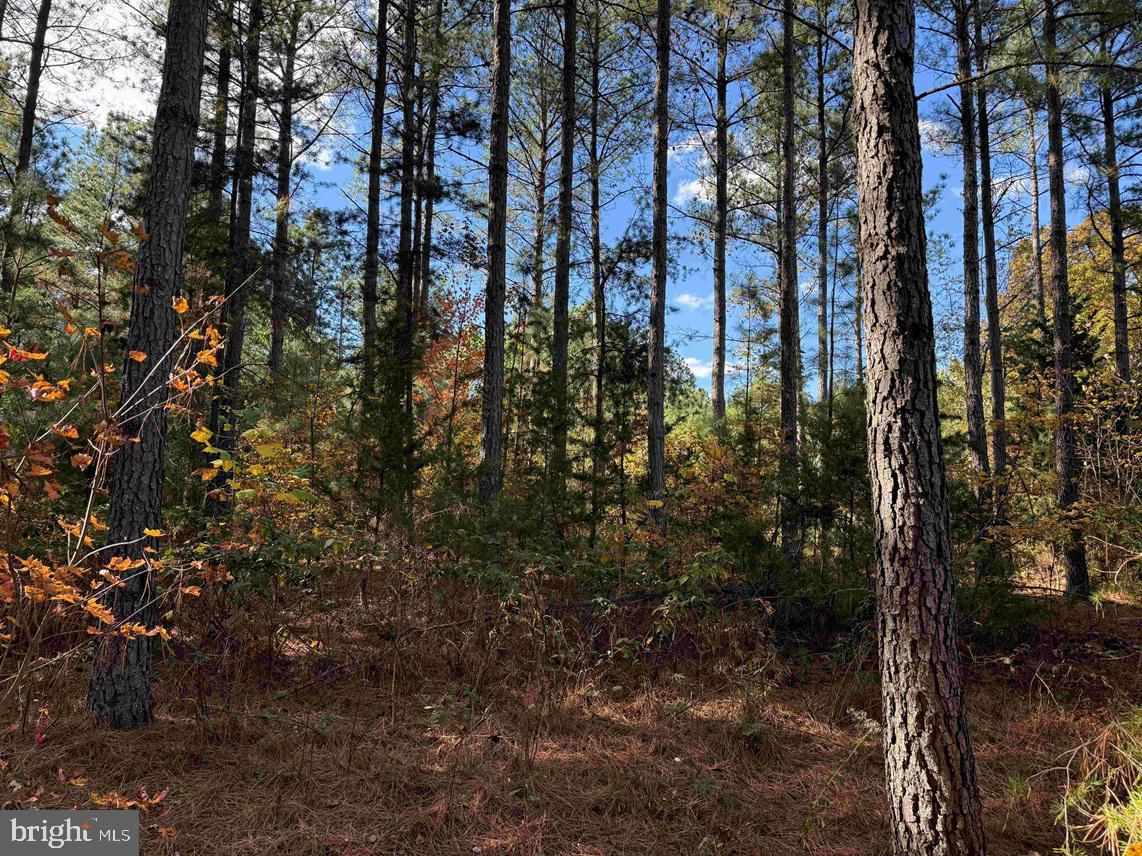 OFF OF SHORES ROAD (TRACT: TANAGER ET2 2020), SCOTTSVILLE, Virginia 24590, ,Farm,For Sale,OFF OF SHORES ROAD (TRACT: TANAGER ET2 2020),VAFN2000630 MLS # VAFN2000630
