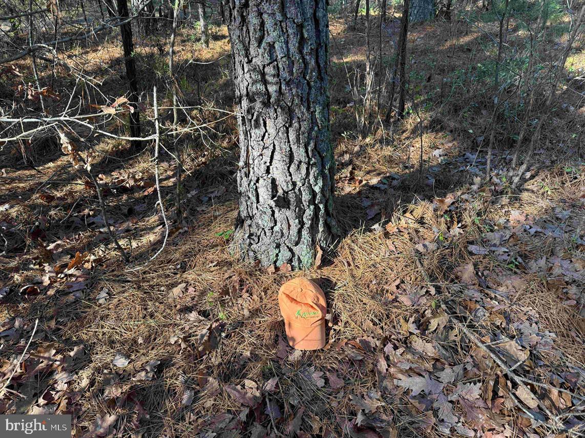 OFF OF DIANA MILL ROAD (TRACT: TANAGER ET2 2023, ARVONIA, Virginia 23004, ,Farm,For Sale,OFF OF DIANA MILL ROAD (TRACT: TANAGER ET2 2023,VABH2000276 MLS # VABH2000276