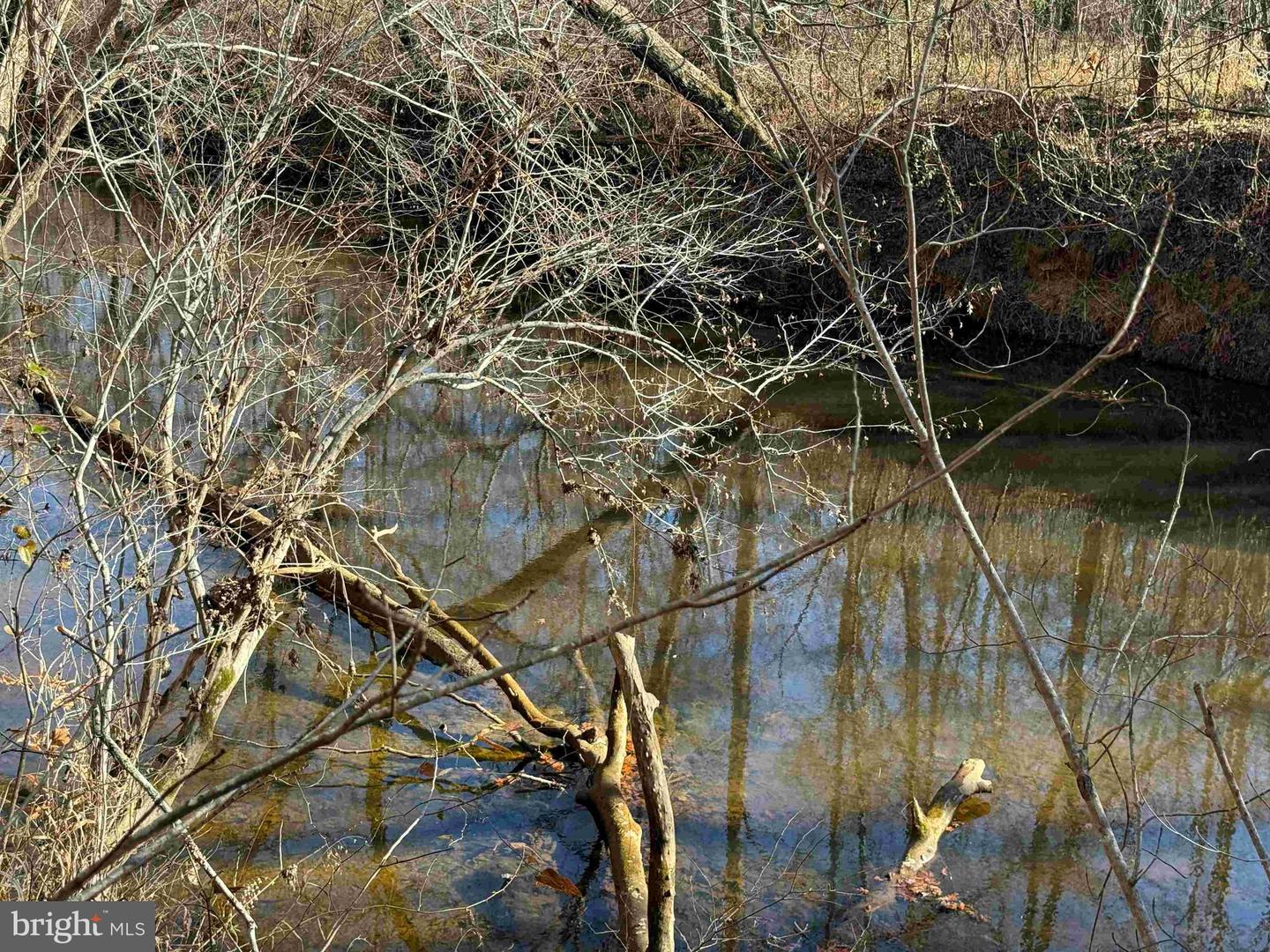 OFF OF DIANA MILL ROAD (TRACT: TANAGER ET2 2023, ARVONIA, Virginia 23004, ,Farm,For Sale,OFF OF DIANA MILL ROAD (TRACT: TANAGER ET2 2023,VABH2000276 MLS # VABH2000276