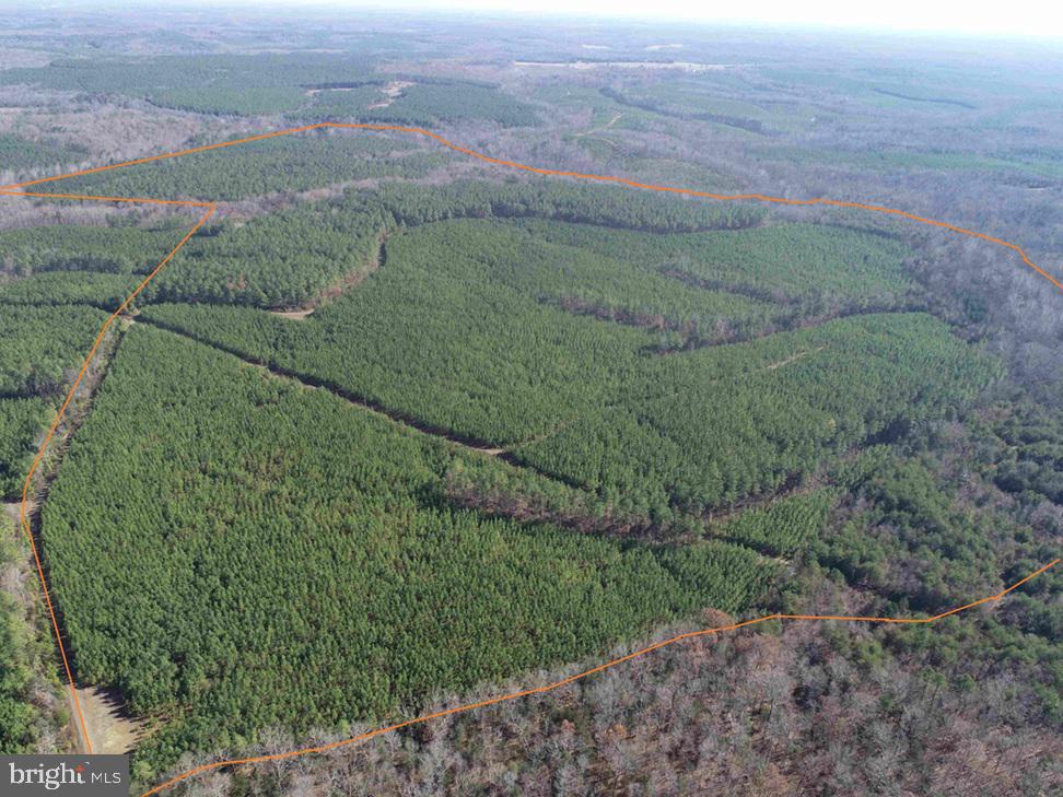 OFF OF DIANA MILL ROAD (TRACT: TANAGER ET2 2023, ARVONIA, Virginia 23004, ,Farm,For Sale,OFF OF DIANA MILL ROAD (TRACT: TANAGER ET2 2023,VABH2000276 MLS # VABH2000276