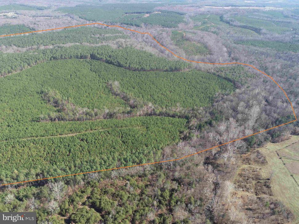 OFF OF DIANA MILL ROAD (TRACT: TANAGER ET2 2023, ARVONIA, Virginia 23004, ,Farm,For Sale,OFF OF DIANA MILL ROAD (TRACT: TANAGER ET2 2023,VABH2000276 MLS # VABH2000276