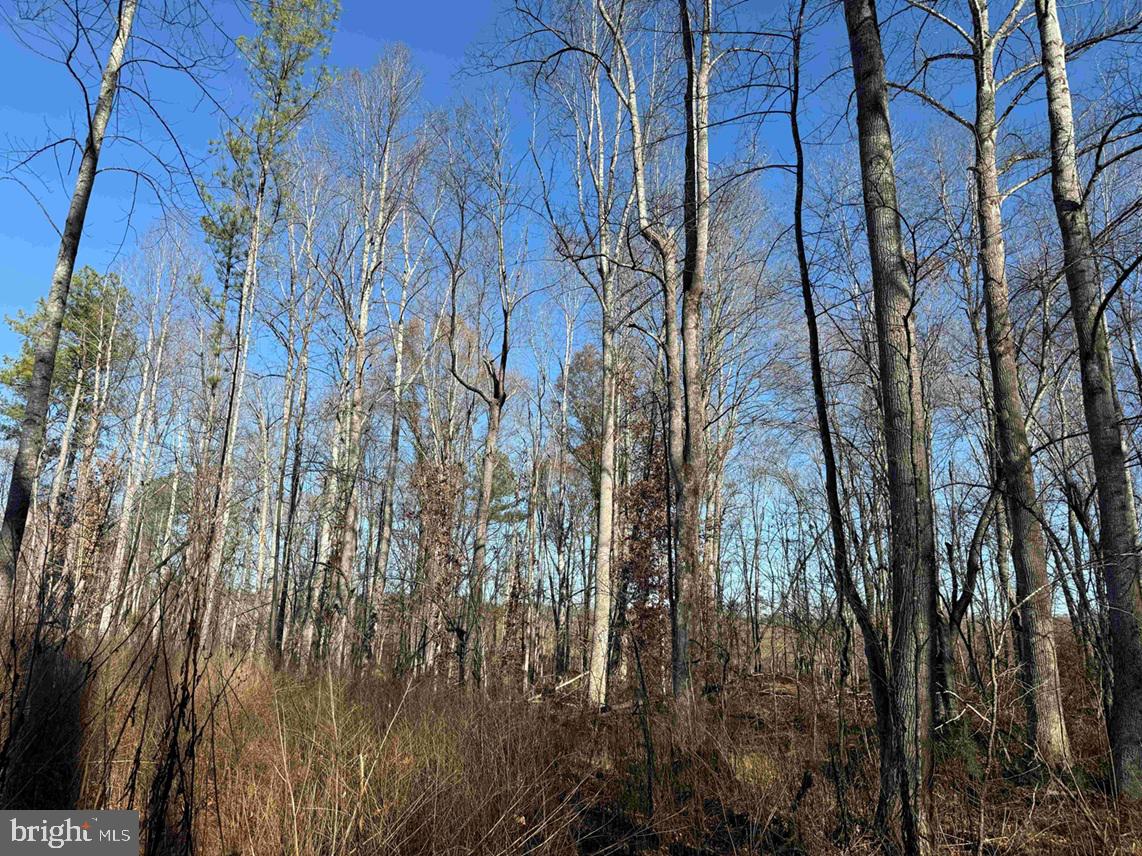 WINNSVILLE DRIVE (TRACT: TANAGER ET2 2021), BREMO BLUFF, Virginia 23022, ,Farm,For Sale,WINNSVILLE DRIVE (TRACT: TANAGER ET2 2021),VAFN2000632 MLS # VAFN2000632