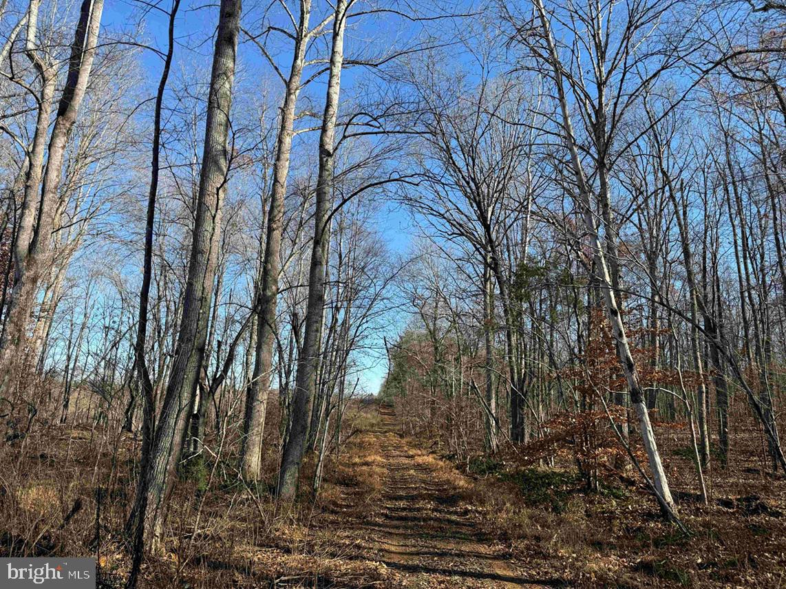 WINNSVILLE DRIVE (TRACT: TANAGER ET2 2021), BREMO BLUFF, Virginia 23022, ,Farm,For Sale,WINNSVILLE DRIVE (TRACT: TANAGER ET2 2021),VAFN2000632 MLS # VAFN2000632