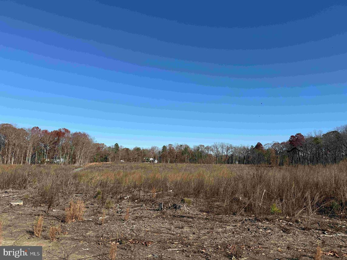 WINNSVILLE DRIVE (TRACT: TANAGER ET2 2021), BREMO BLUFF, Virginia 23022, ,Farm,For Sale,WINNSVILLE DRIVE (TRACT: TANAGER ET2 2021),VAFN2000632 MLS # VAFN2000632