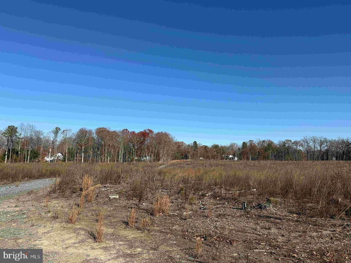 WINNSVILLE DRIVE (TRACT: TANAGER ET2 2021), BREMO BLUFF, Virginia 23022, ,Farm,For Sale,WINNSVILLE DRIVE (TRACT: TANAGER ET2 2021),VAFN2000632 MLS # VAFN2000632