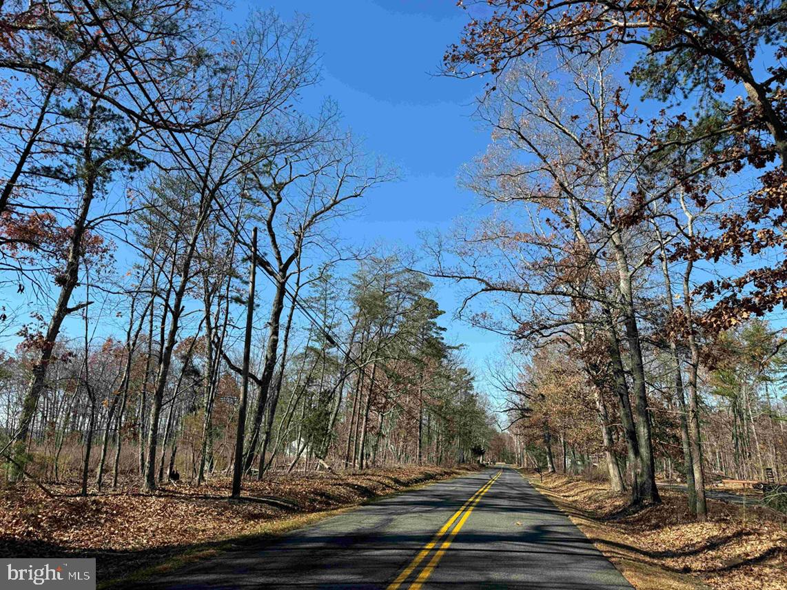 WINNSVILLE DRIVE (TRACT: TANAGER ET2 2021), BREMO BLUFF, Virginia 23022, ,Farm,For Sale,WINNSVILLE DRIVE (TRACT: TANAGER ET2 2021),VAFN2000632 MLS # VAFN2000632