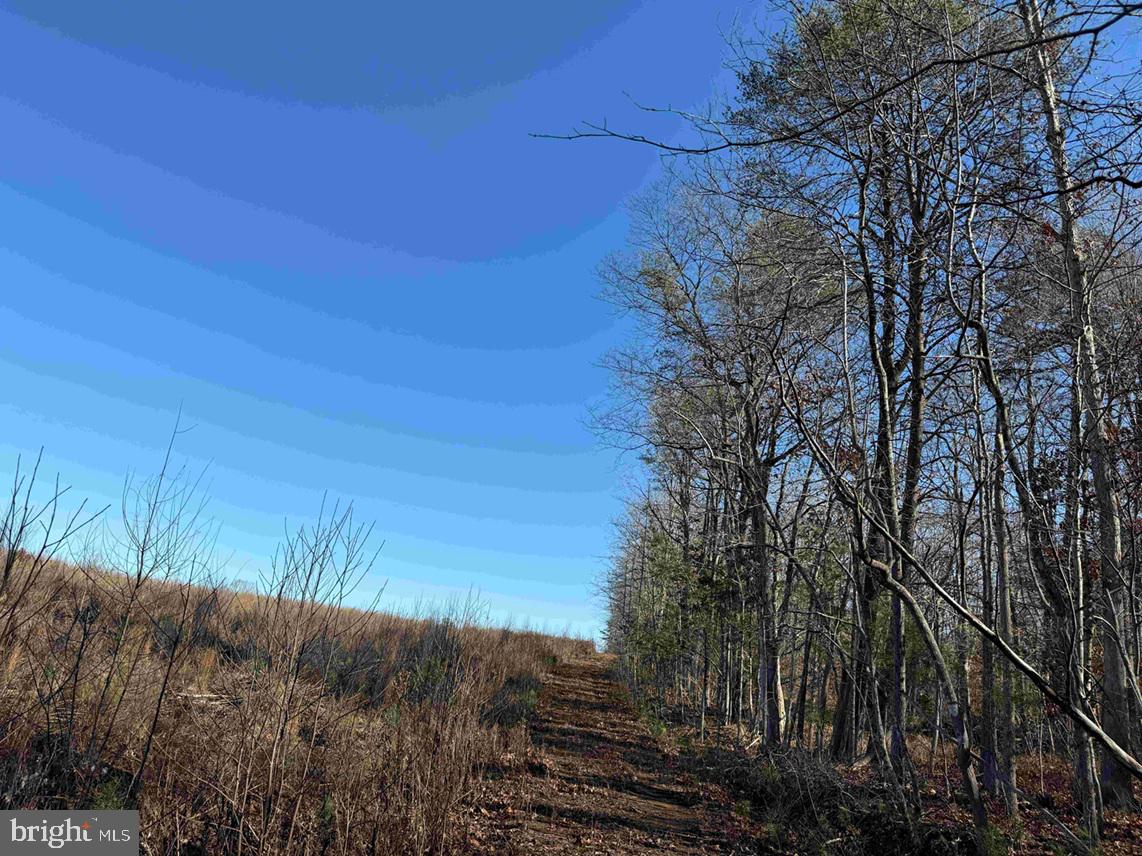 WINNSVILLE DRIVE (TRACT: TANAGER ET2 2021), BREMO BLUFF, Virginia 23022, ,Farm,For Sale,WINNSVILLE DRIVE (TRACT: TANAGER ET2 2021),VAFN2000632 MLS # VAFN2000632