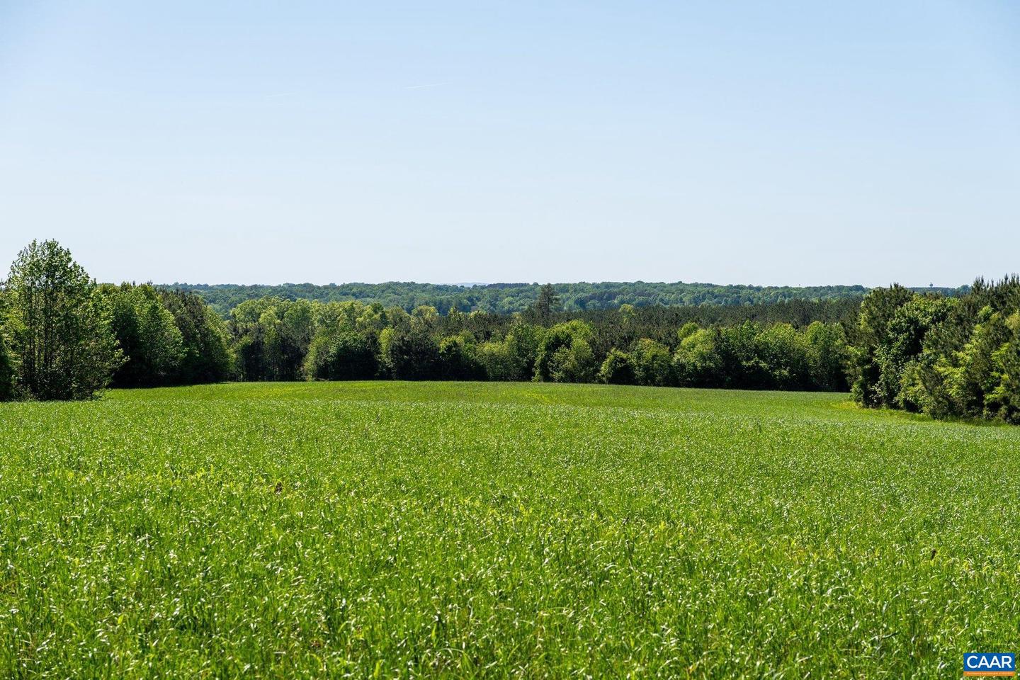 400A DOE LN, CHATHAM, Virginia 24531, 5 Bedrooms Bedrooms, ,2 BathroomsBathrooms,Farm,For Sale,400A DOE LN,674029 MLS # 674029