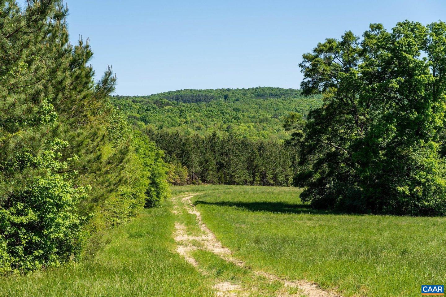 400A DOE LN, CHATHAM, Virginia 24531, 5 Bedrooms Bedrooms, ,2 BathroomsBathrooms,Farm,For Sale,400A DOE LN,674029 MLS # 674029